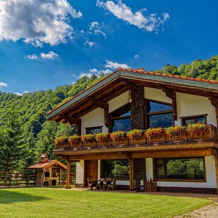 Avalanche Plaiul Foii Villa Zărneşti Buitenkant foto